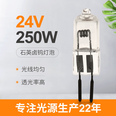 24v 150w 250W Kuvars İyot Lamba Lümen Yüksek Cerrahi Tungsten Halojen Projektör Lambası