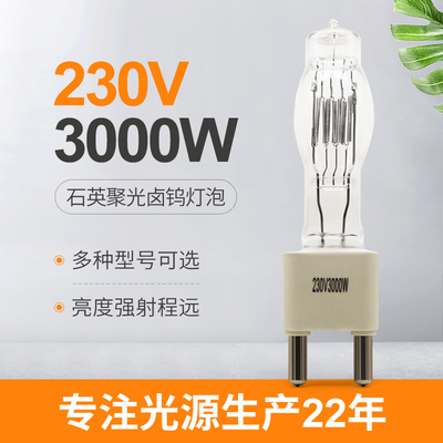 230V 3000W Deniz Projektör Ampulleri Tekne Halojen Işık G38 3200K Sahne Stüdyosu
